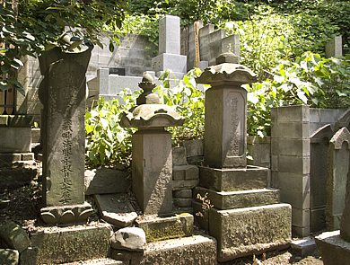 写真　中橋狩野家