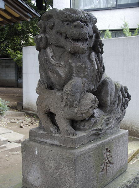 狛犬写真・左吽像