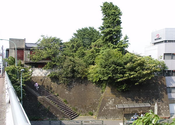 天祖神社の森