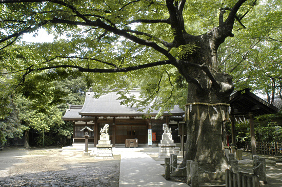 新田神社写真