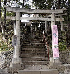 社殿参道へ鳥居
